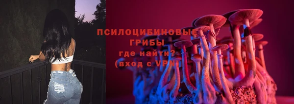 ГАЛЛЮЦИНОГЕННЫЕ ГРИБЫ Алексеевка