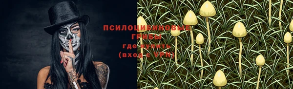 мескалин Алексин