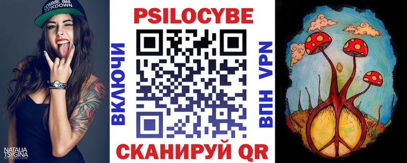 darknet телеграм  Большой Камень  Псилоцибиновые грибы Psilocybe 