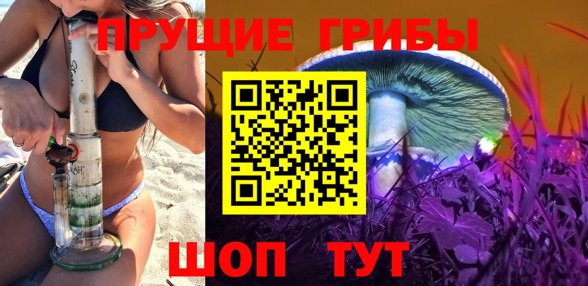 Большой Камень  Псилоцибиновые грибы ЛСД  Вход с VPN 