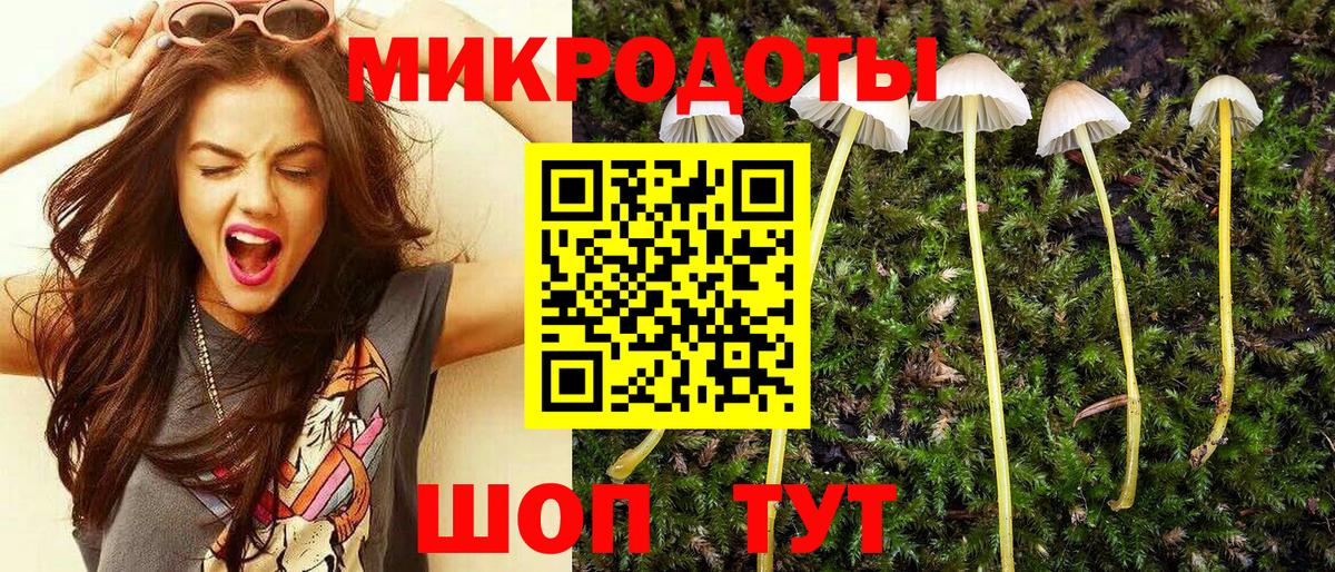 Псилоцибиновые грибы MAGIC MUSHROOMS Большой Камень