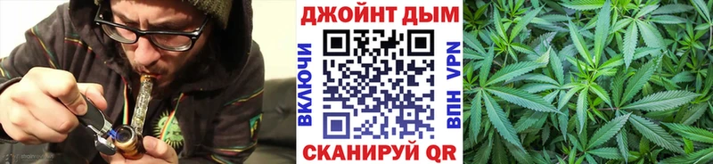Конопля гибрид  Большой Камень 