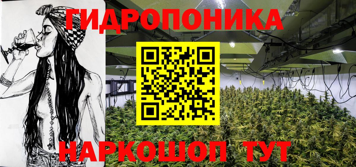 Марихуана конопля Большой Камень